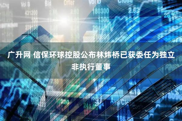 广升网 信保环球控股公布林炜桥已获委任为独立非执行董事