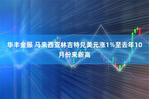华丰金服 马来西亚林吉特兑美元涨1%至去年10月份来新高