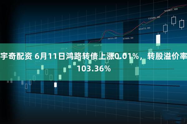 宇奇配资 6月11日鸿路转债上涨0.01%，转股溢价率103.36%