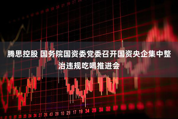 腾思控股 国务院国资委党委召开国资央企集中整治违规吃喝推进会