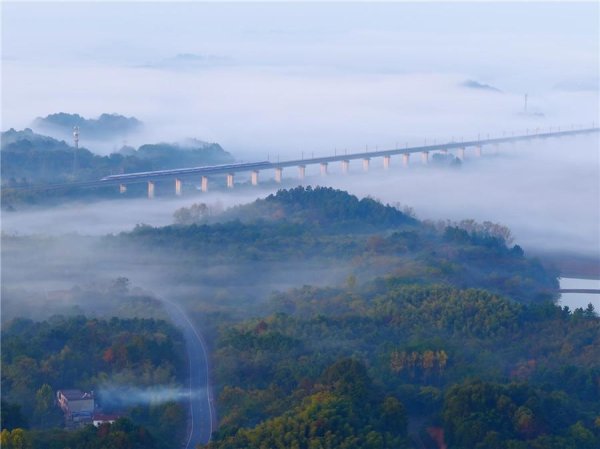 张吧策路 安徽池州：晨雾弥漫似仙境